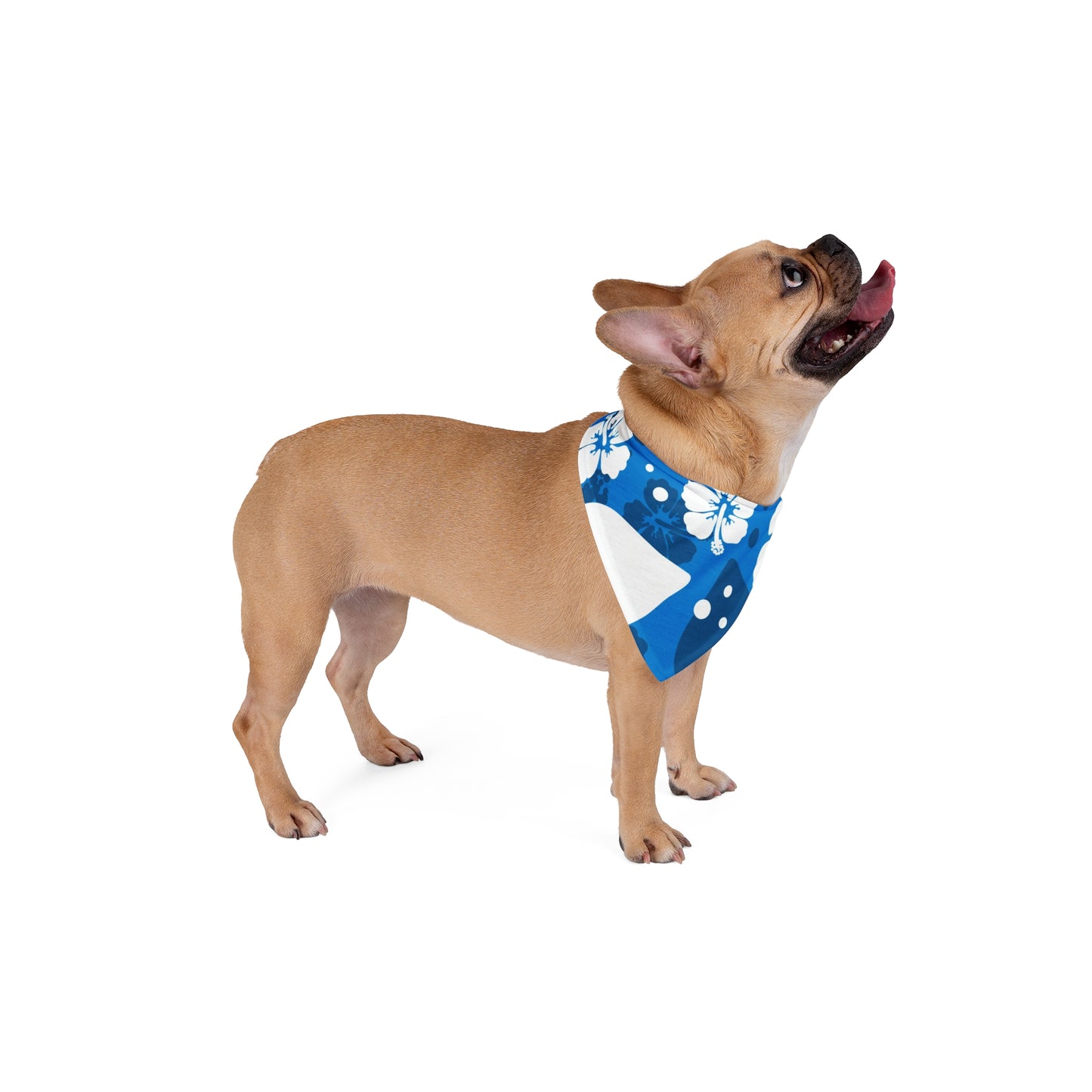 White Hibiscus, Custom Hawaiian Design, Pet Bandana